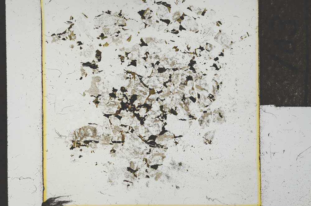 Plane Polarized, S22751/A