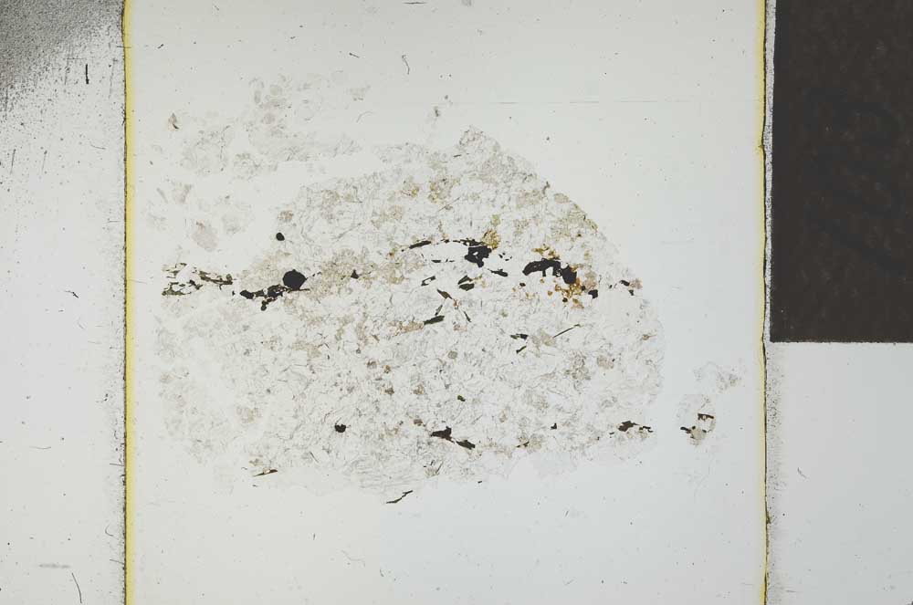 Plane Polarized, S22759