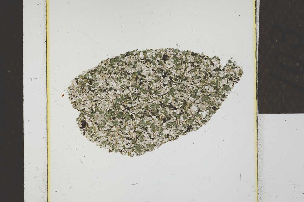 Plane Polarized, S22762