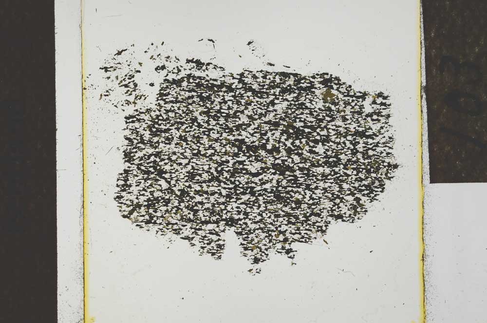 Plane Polarized, S22766