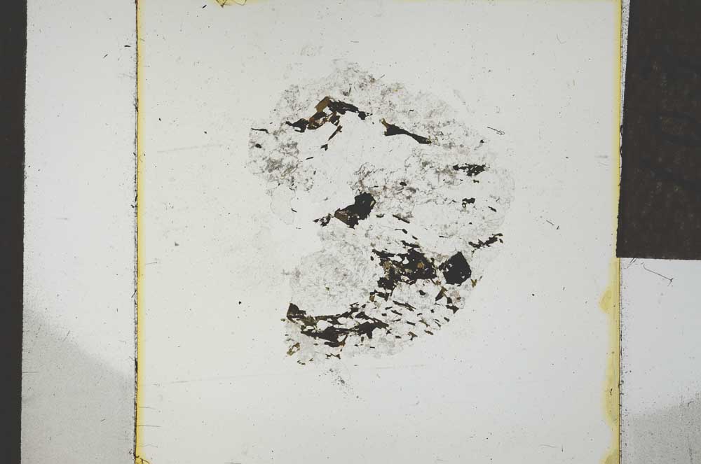 Plane Polarized, S22772