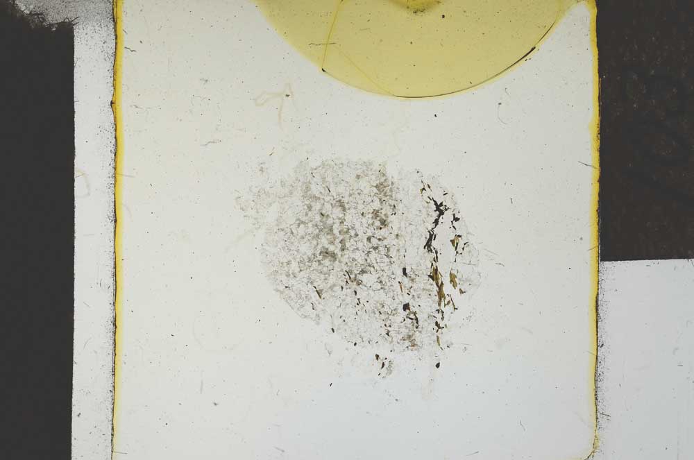 Plane Polarized, S22773