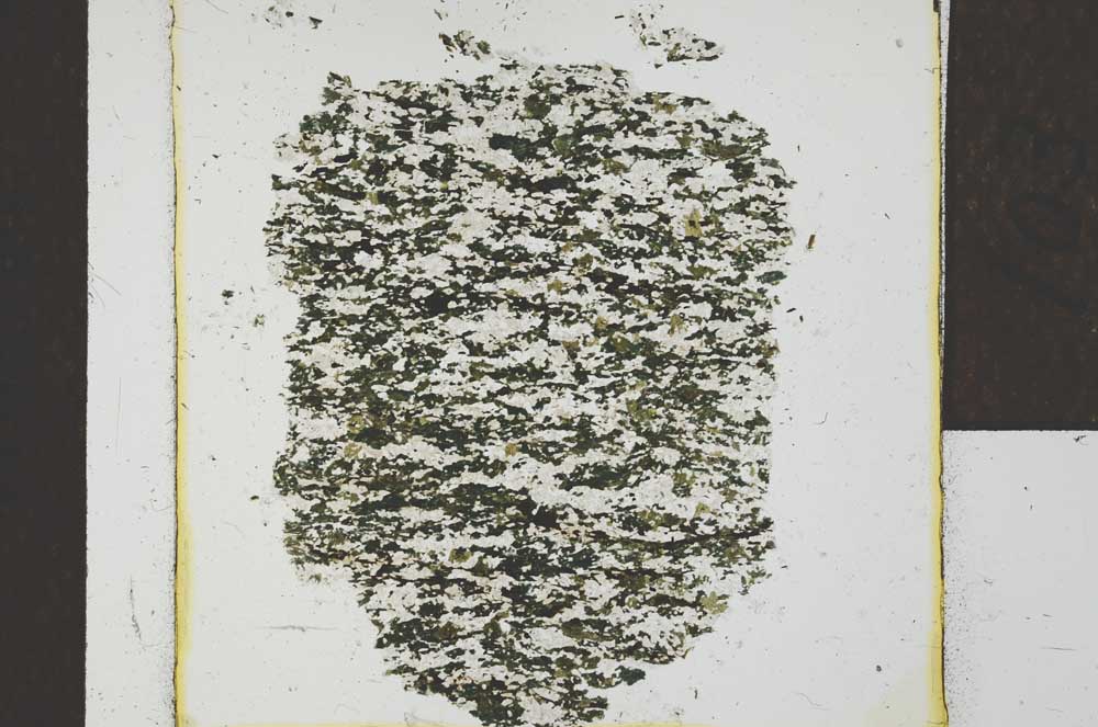 Plane Polarized, S22779
