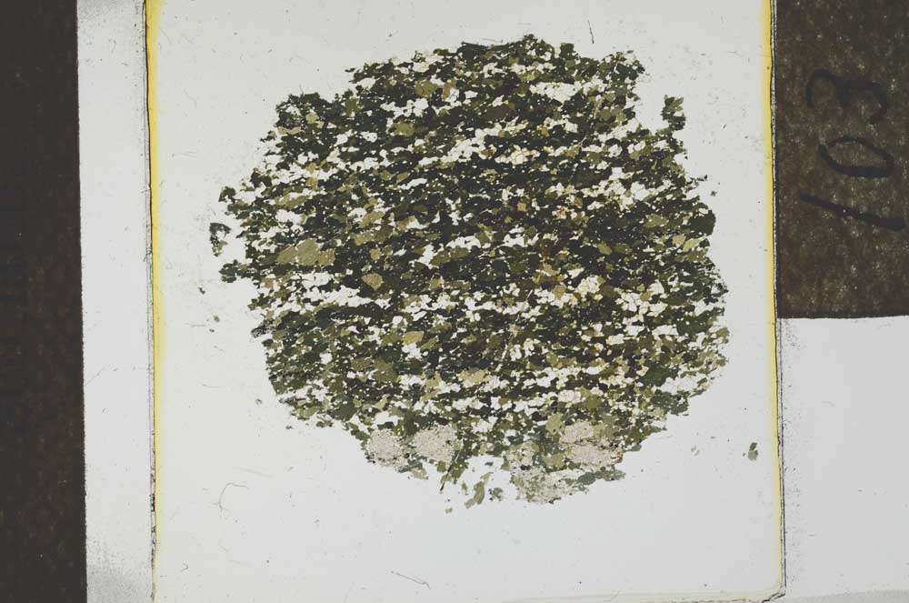 Plane Polarized, S22787