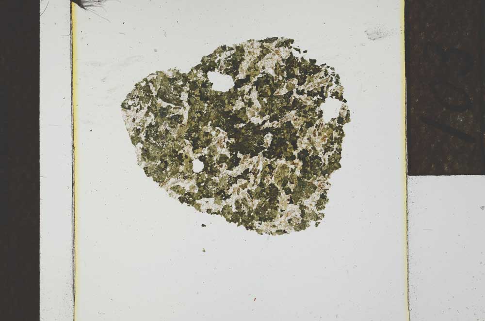 Plane Polarized, S22797