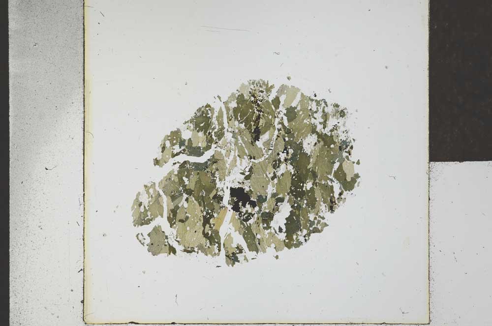 Plane Polarized, S22801