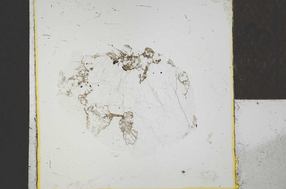 Plane Polarized, S22804