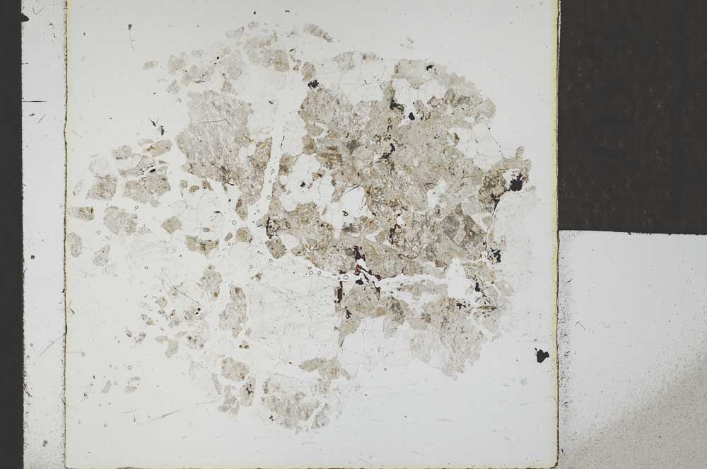 Plane Polarized, S22809