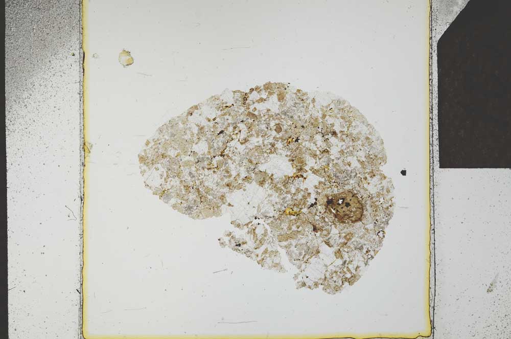 Plane Polarized, S22811