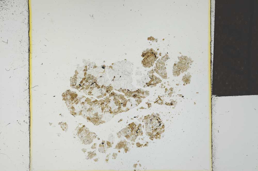 Plane Polarized, S22811/A