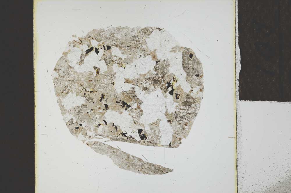 Plane Polarized, S22812