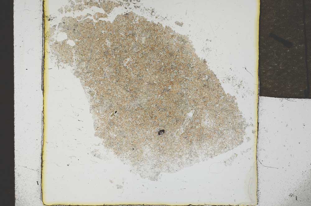 Plane Polarized, S22831