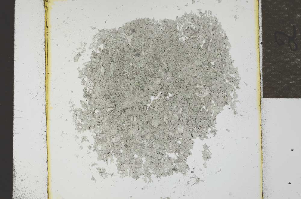 Plane Polarized, S22840