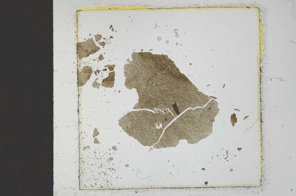 Plane Polarized, S22897
