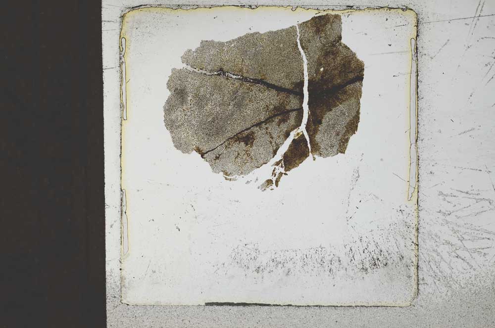 Plane Polarized, S22902