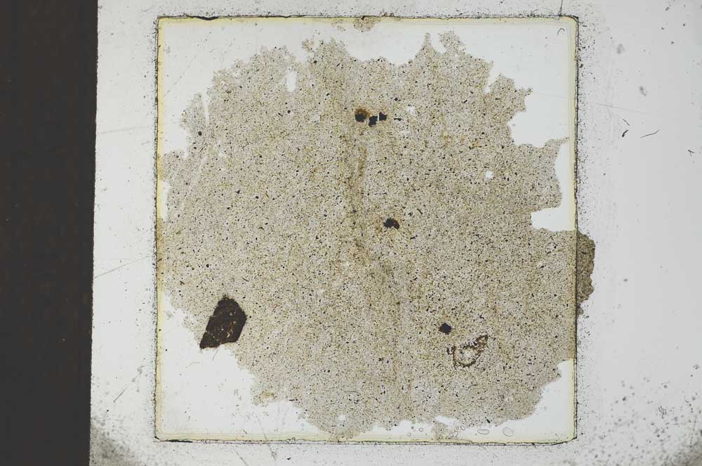 Plane Polarized, S22909