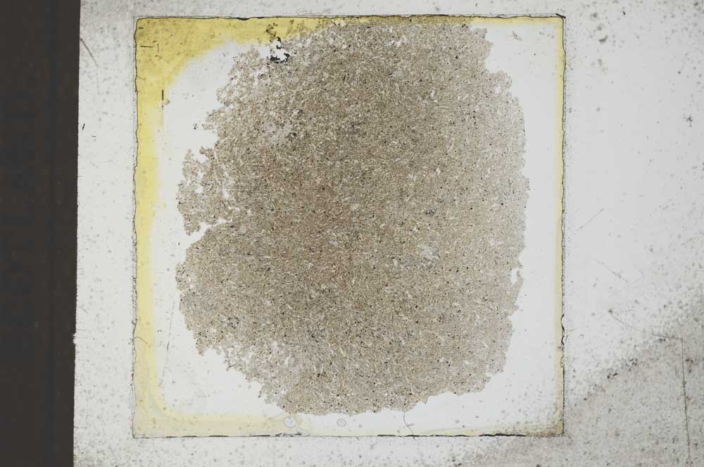 Plane Polarized, S22912