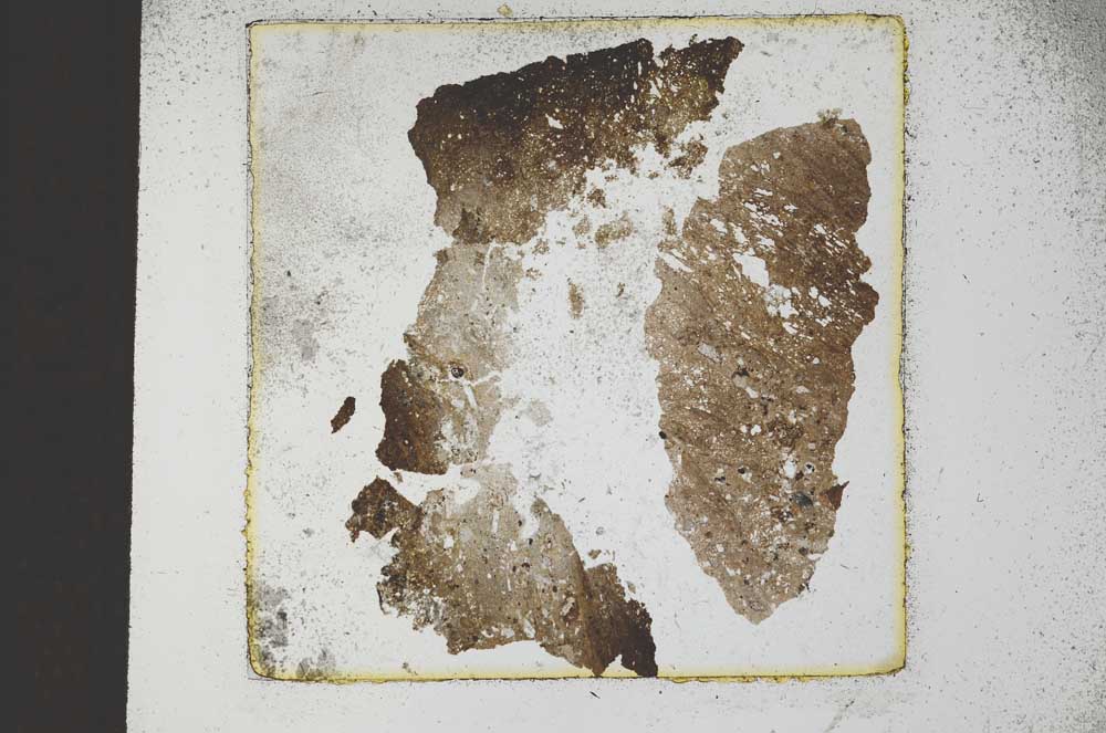 Plane Polarized, S22920