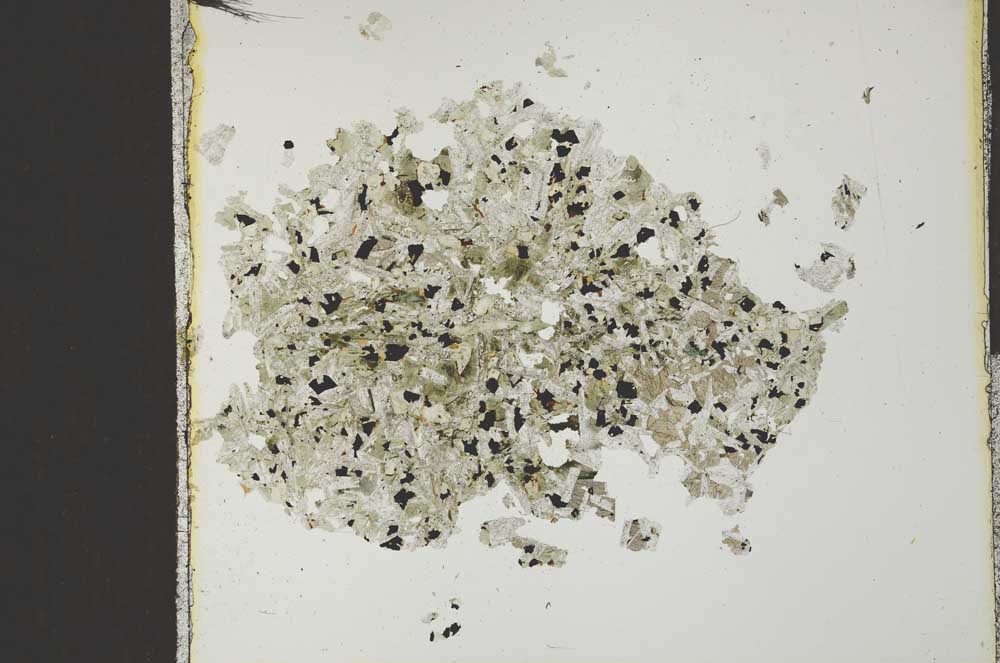 Plane Polarized, S22931