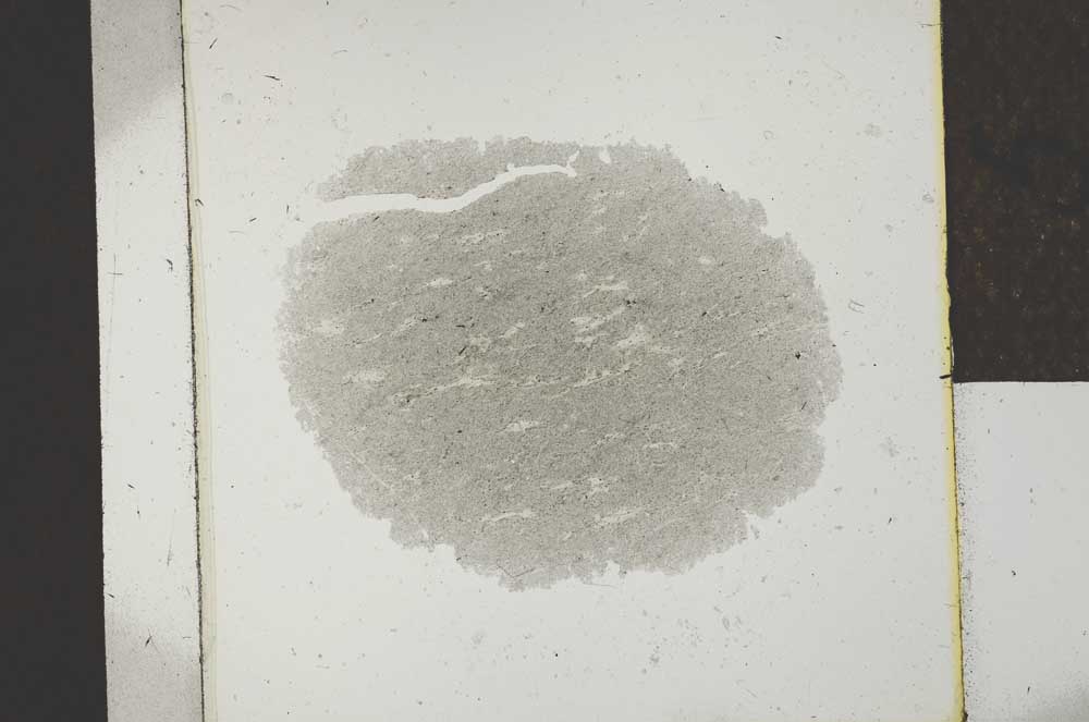 Plane Polarized, S22941