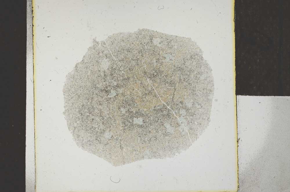 Plane Polarized, S22945