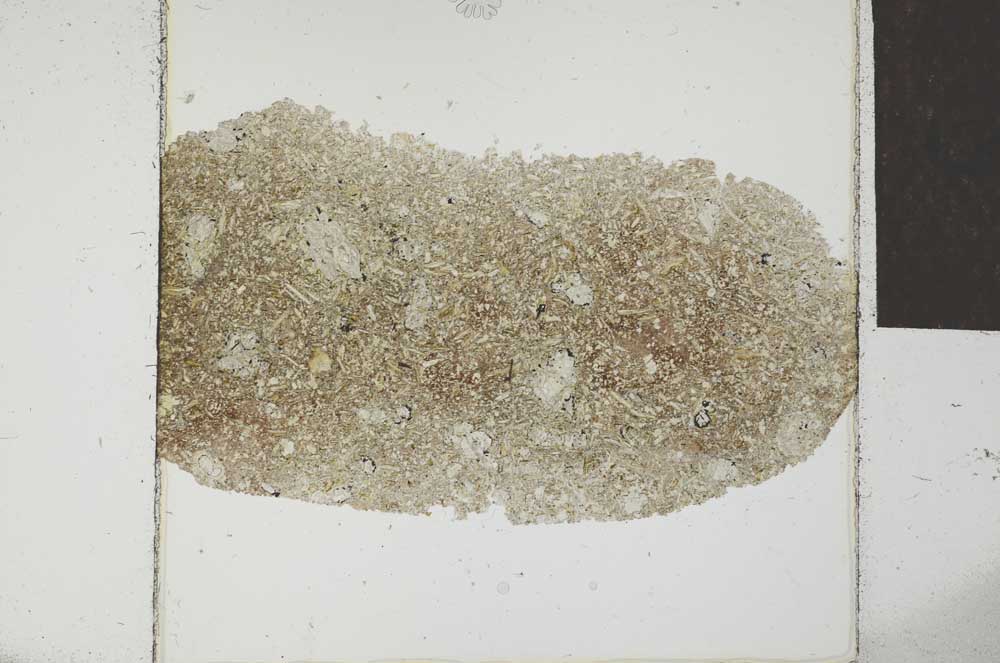 Plane Polarized, S22956