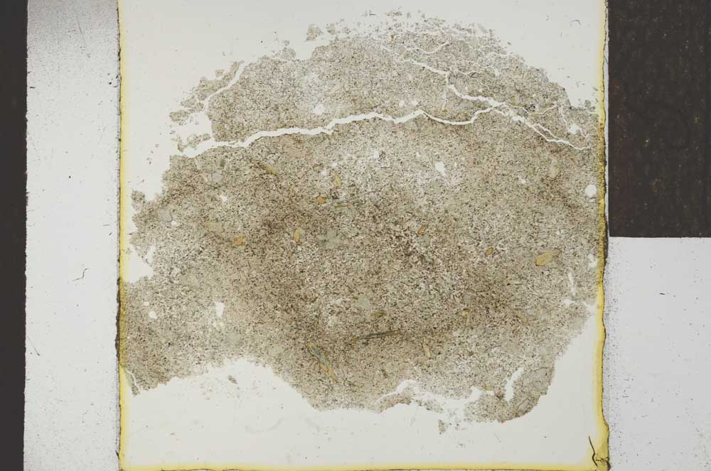 Plane Polarized, S22959