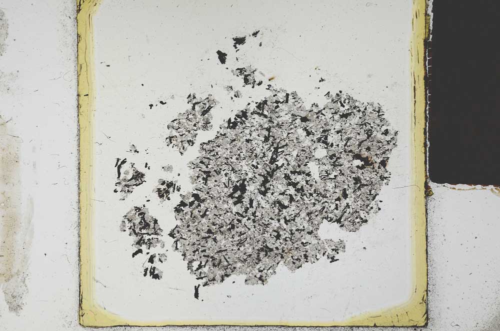 Plane Polarized, S23024
