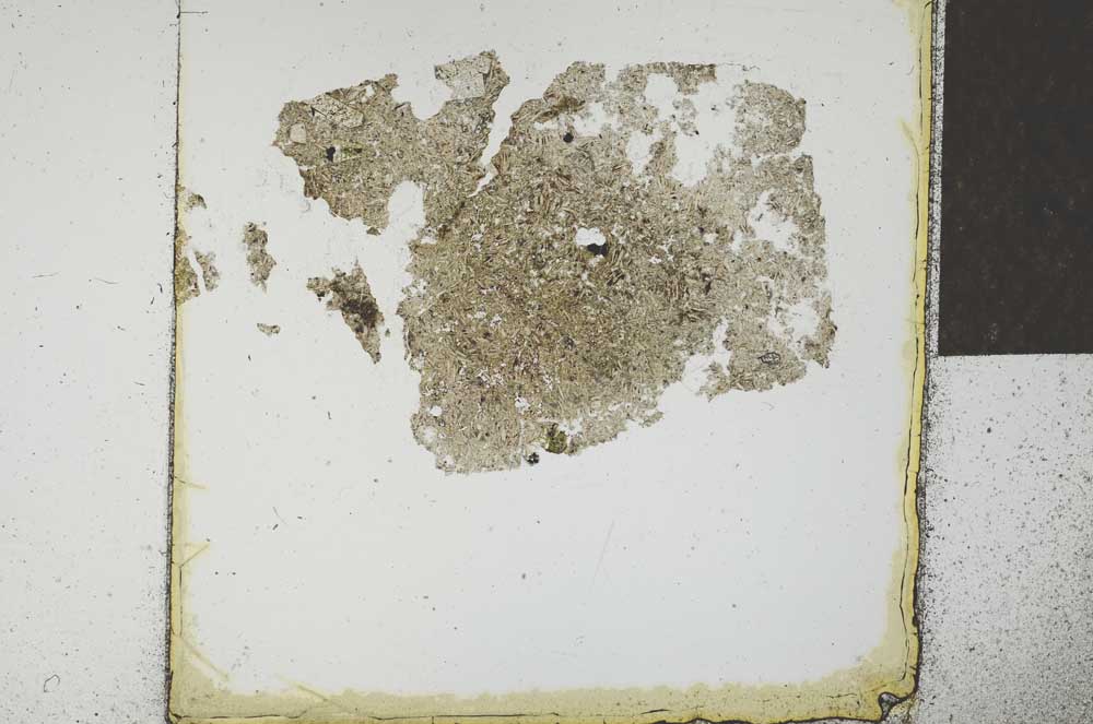 Plane Polarized, S23091