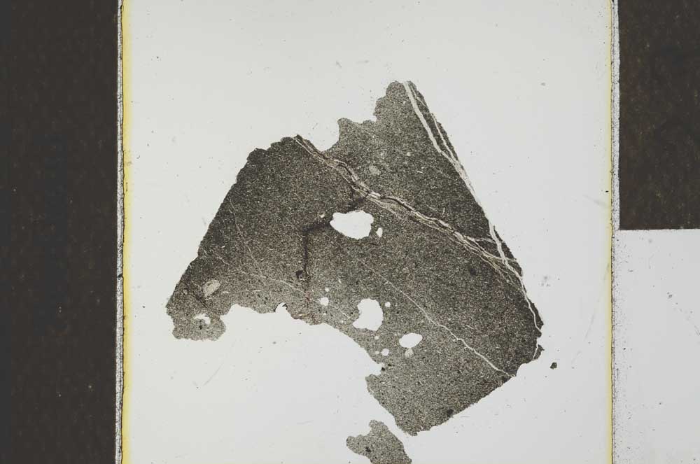 Plane Polarized, S23107