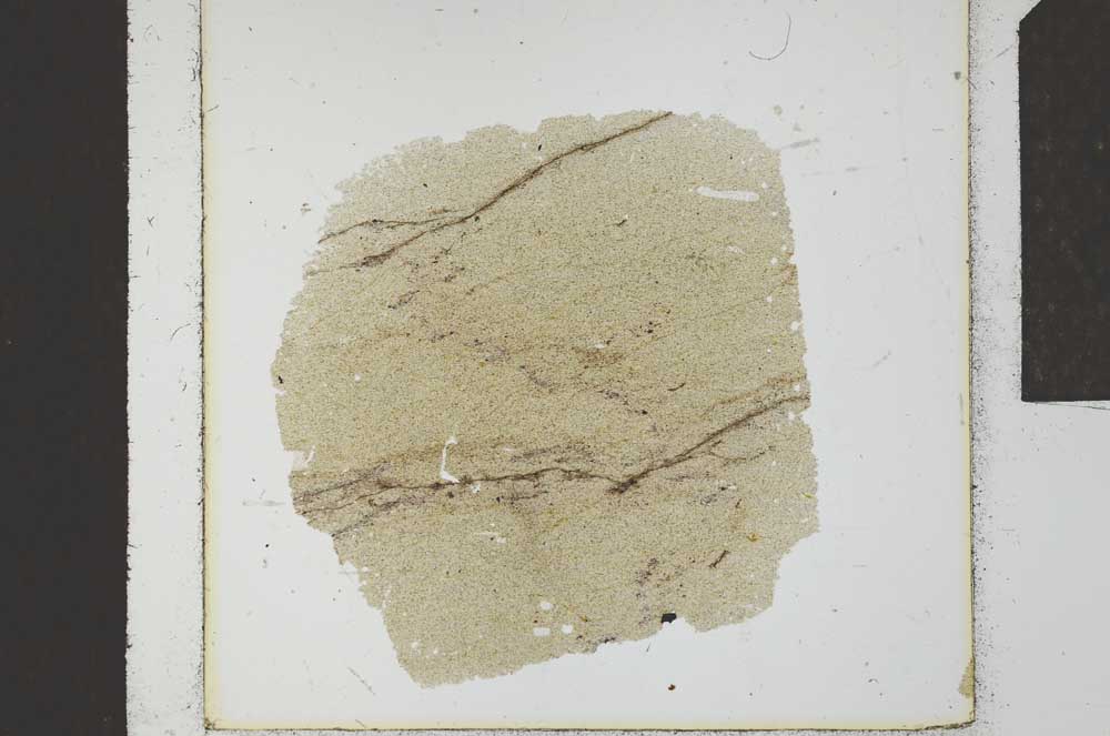 Plane Polarized, S23120