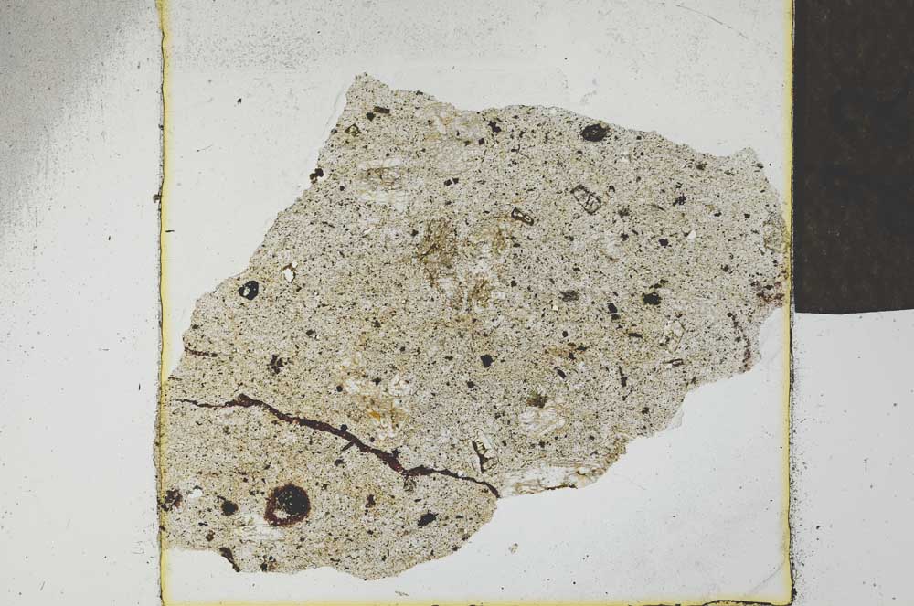 Plane Polarized, S23129