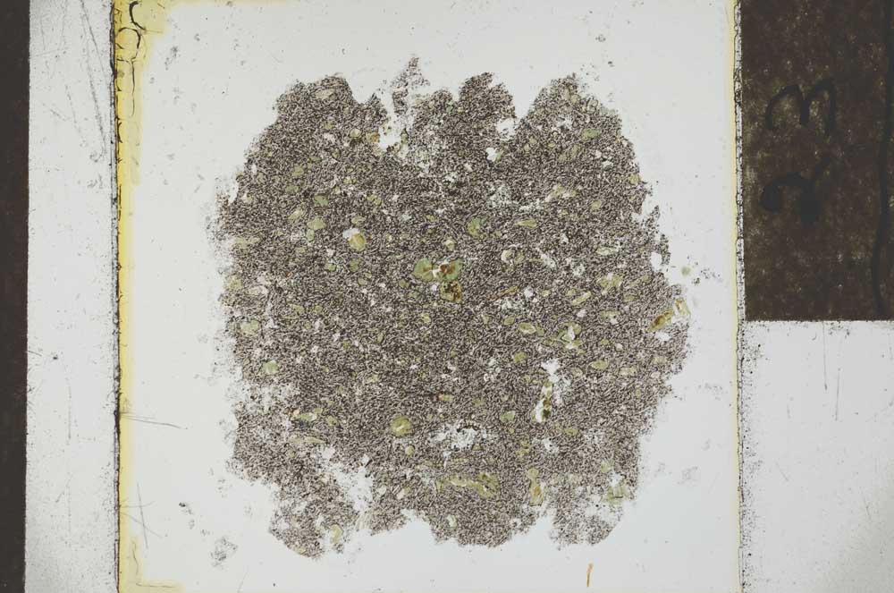 Plane Polarized, S23142