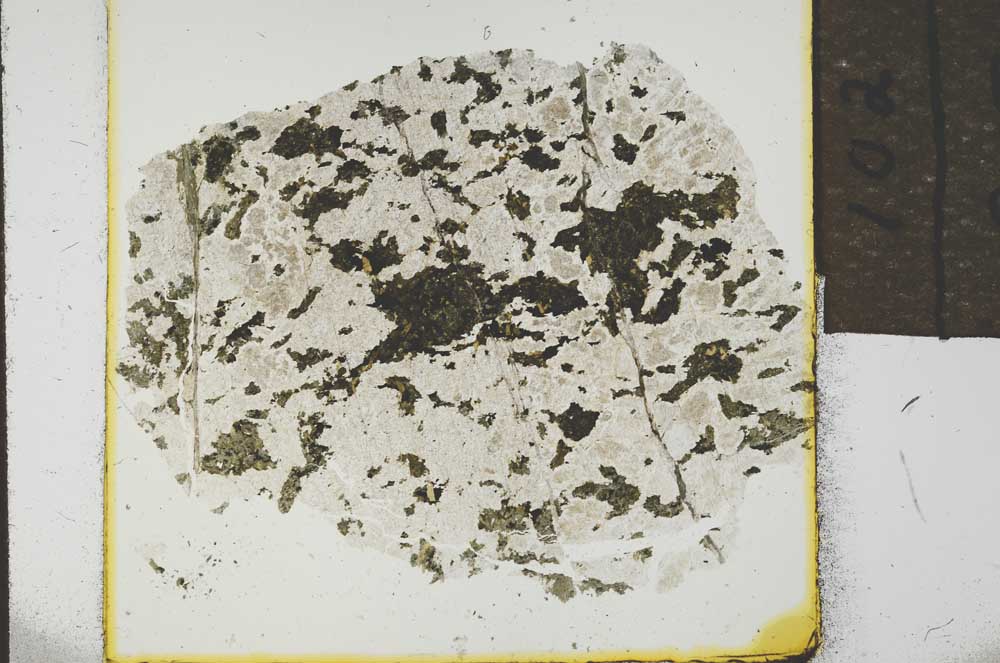 Plane Polarized, S23145