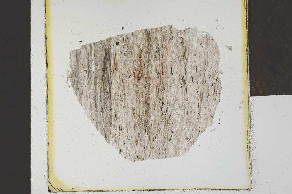 Plane Polarized, S23148