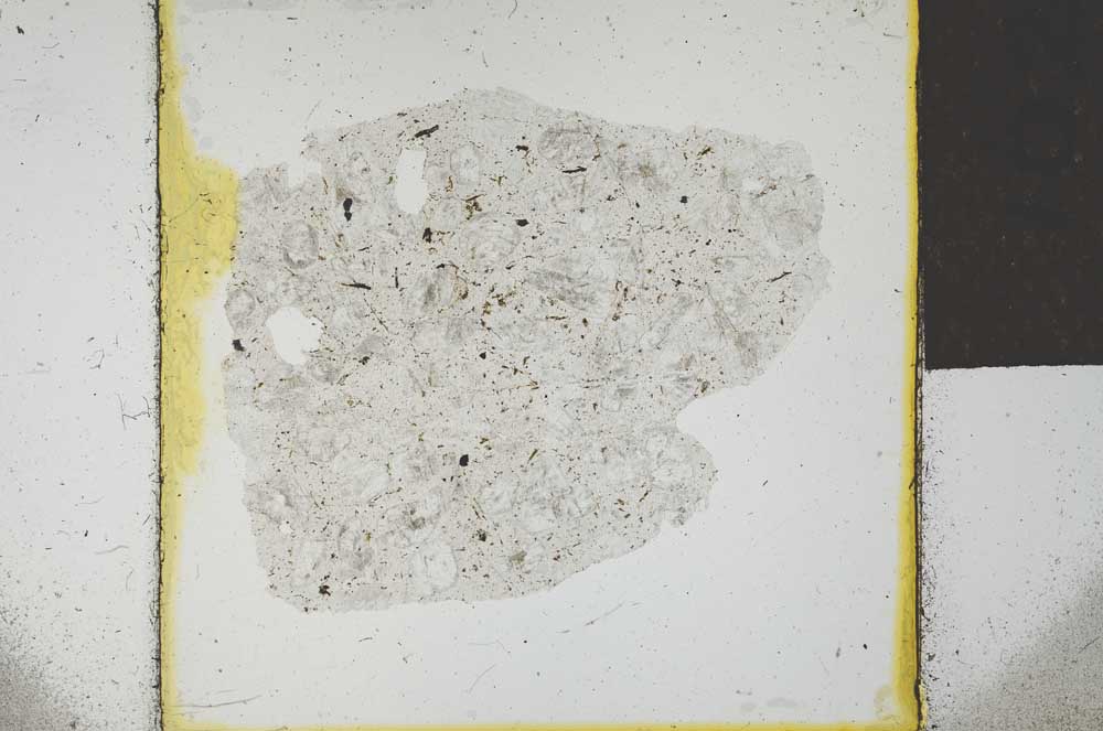 Plane Polarized, S23149