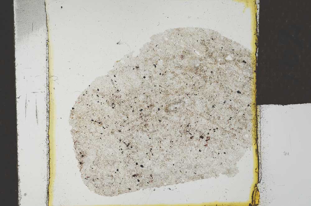 Plane Polarized, S23151