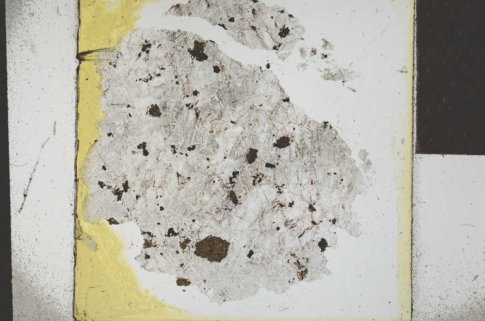 Plane Polarized, S23153
