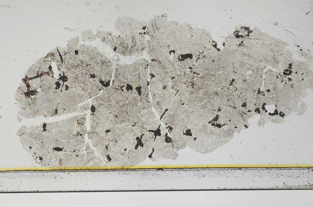Plane Polarized, S23154