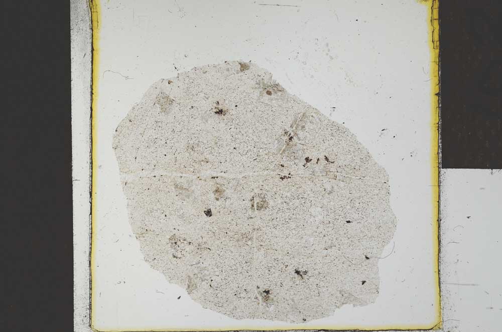 Plane Polarized, S23156