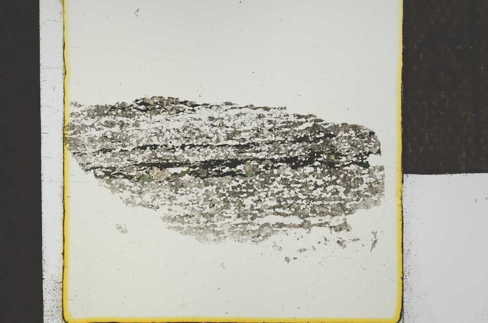 Plane Polarized, S23161
