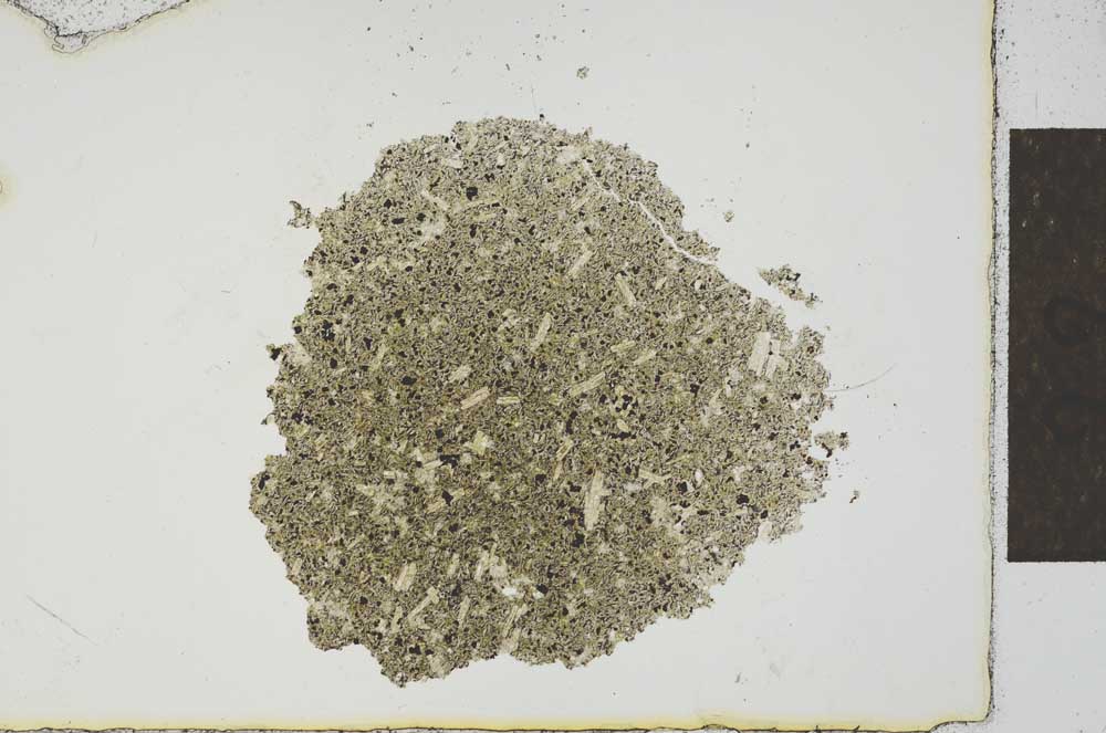Plane Polarized, S23163
