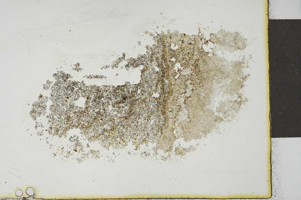 Plane Polarized, S23167