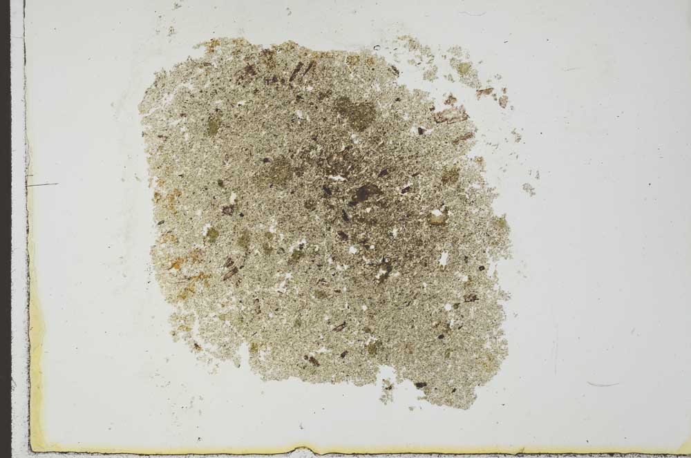 Plane Polarized, S23168