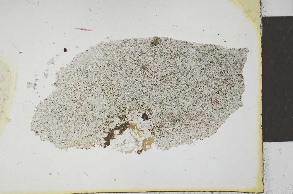 Plane Polarized, S23178