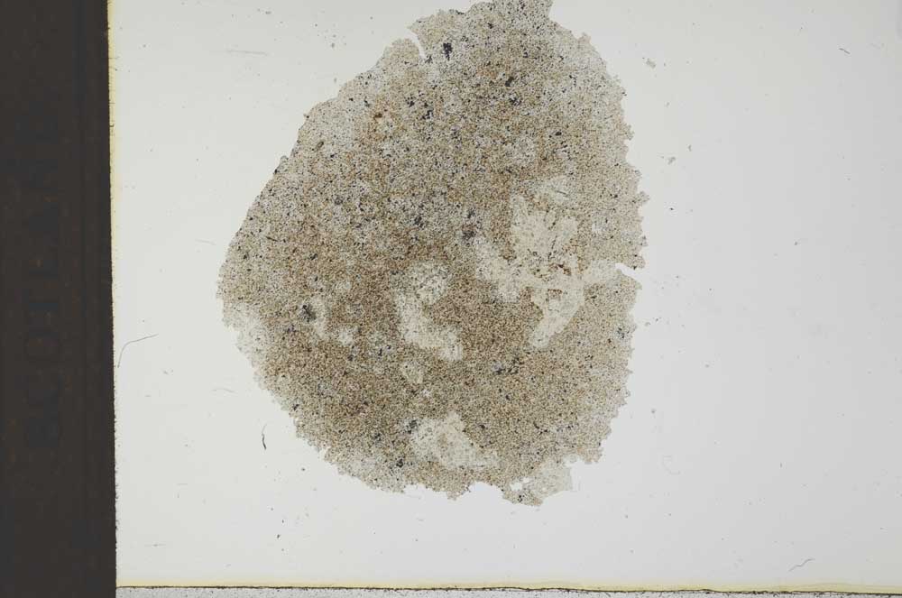 Plane Polarized, S23179