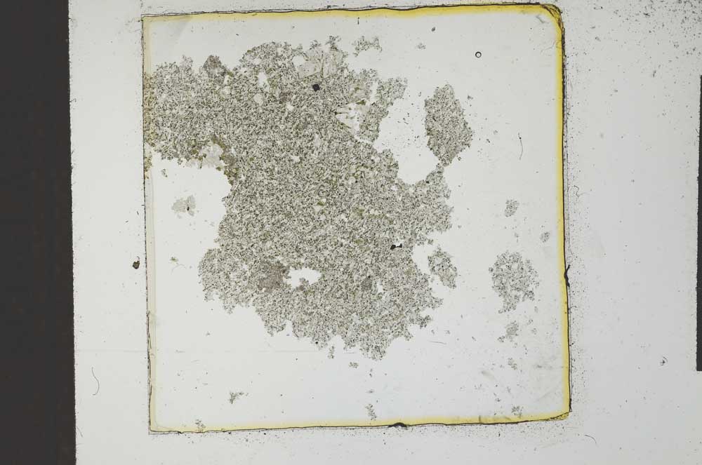Plane Polarized, S23221