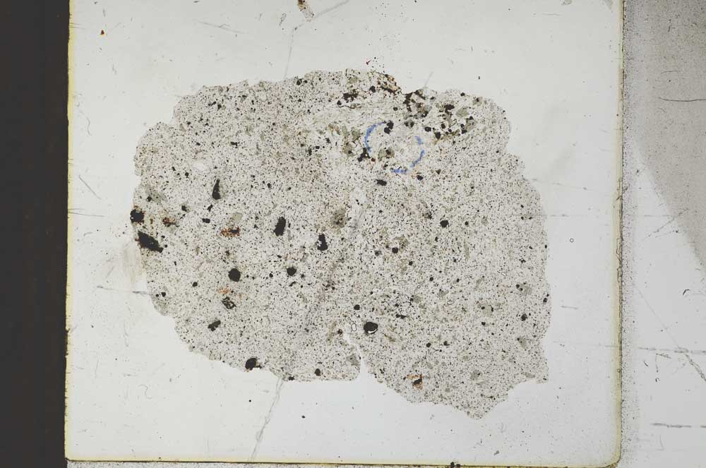 Plane Polarized, S23234