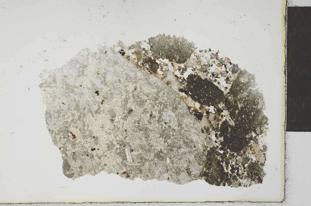Plane Polarized, S23263