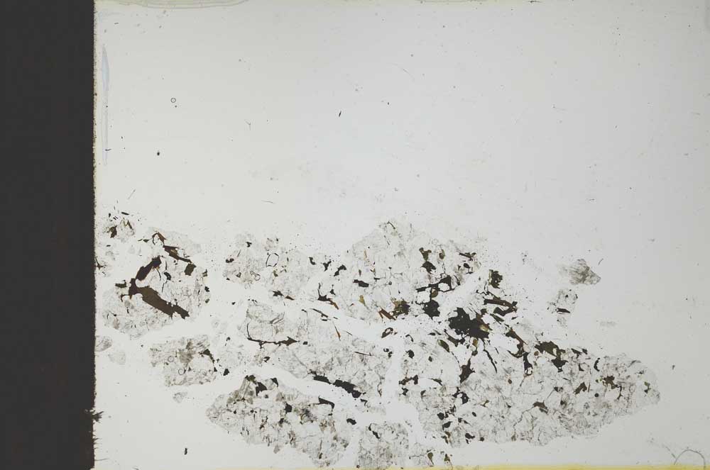 Plane Polarized, S23276